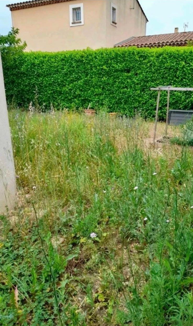 Jardin avant les travaux